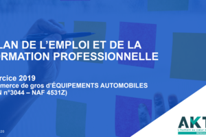 Bilan de l'Emploi et de la Formation Professionnelle - Exercice 2019