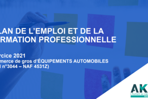 Bilan de l'Emploi et de la Formation Professionnelle - Exercice 2021